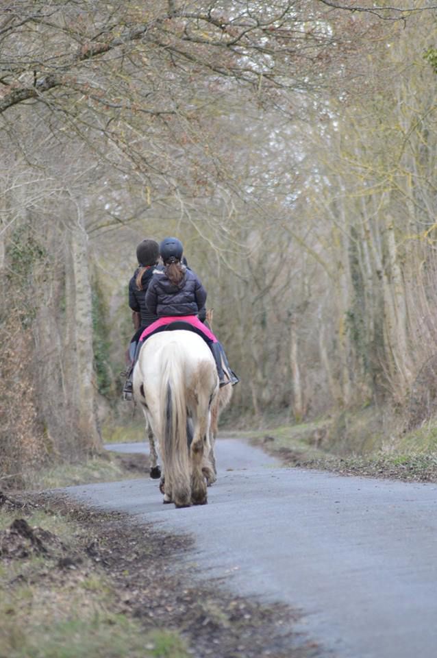 balade randonn&eacute;e &agrave; cheval 