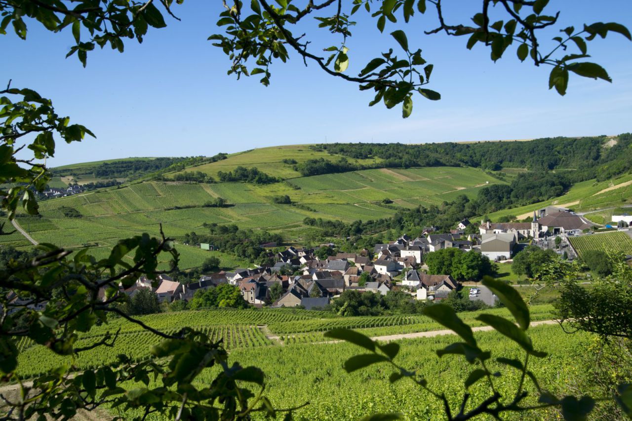 balade randonn&eacute;e &agrave; cheval 