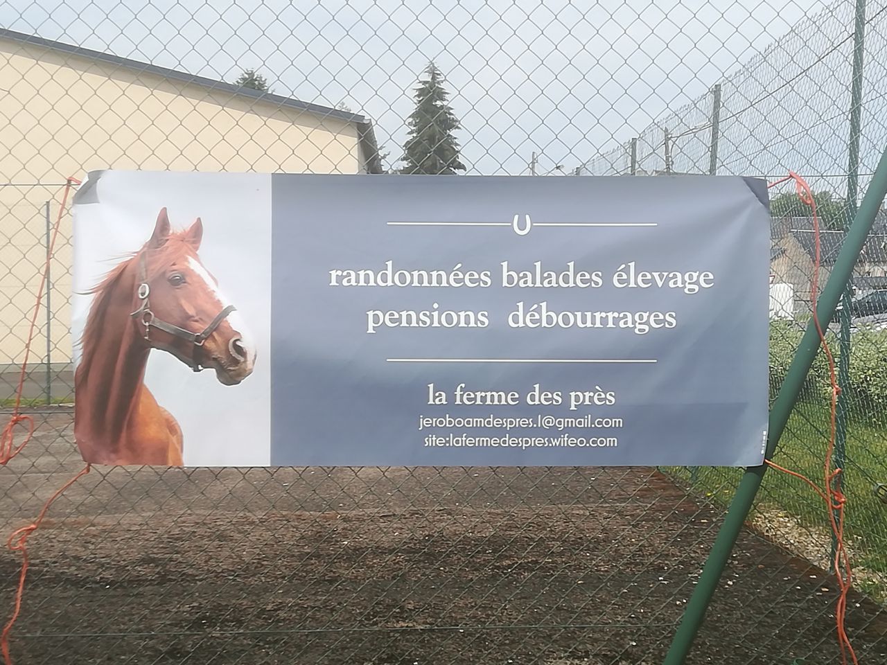 balade randonn&eacute;e &agrave; cheval 