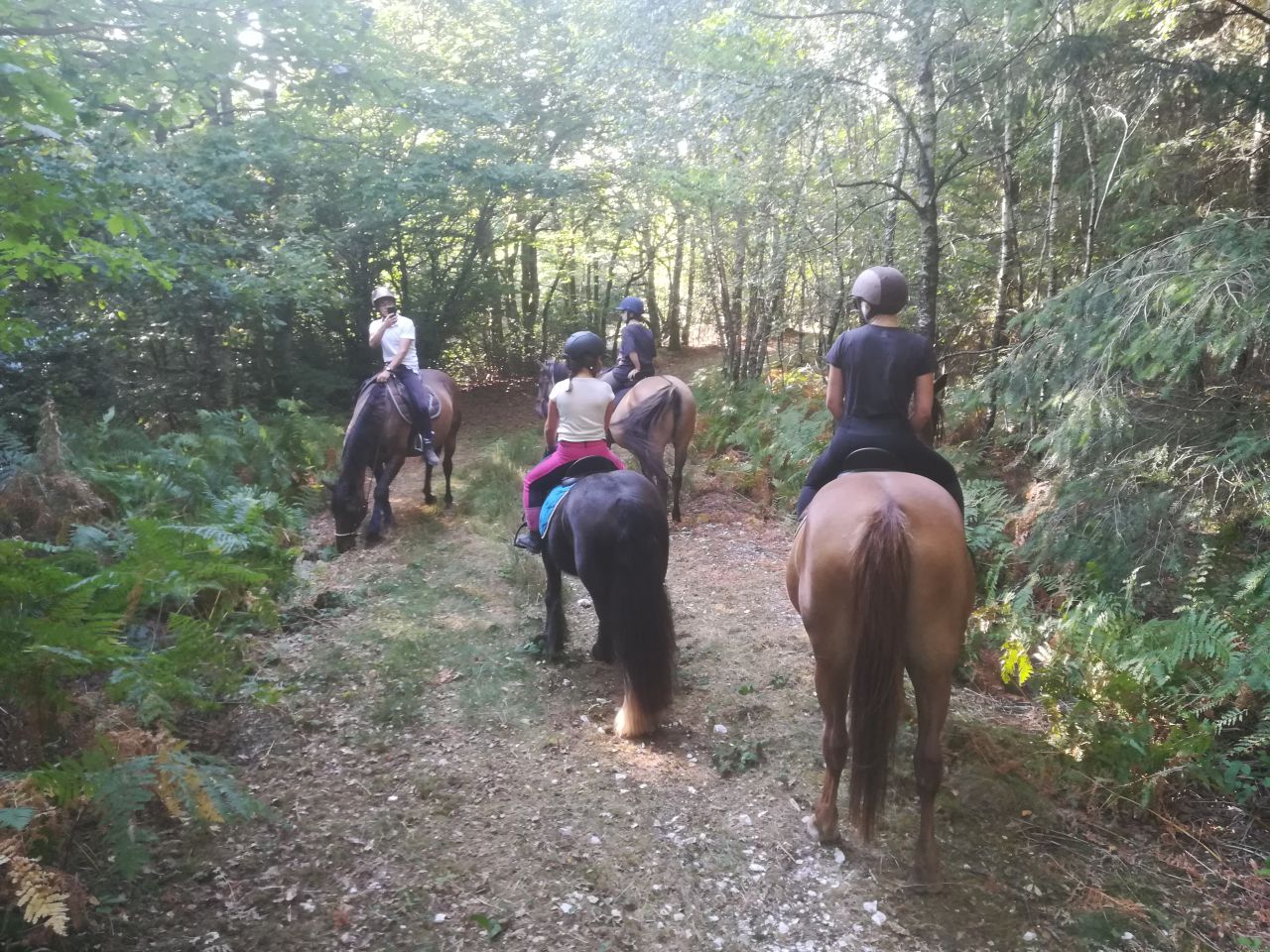 balade randonn&eacute;e &agrave; cheval 