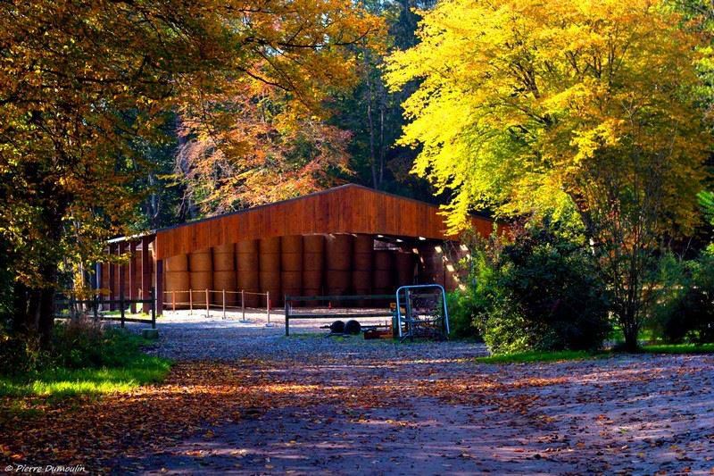Pension Boxe / Stabulation - Région Aywaille