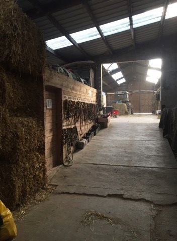 Pension Boxe / Stabulation - Région Aywaille