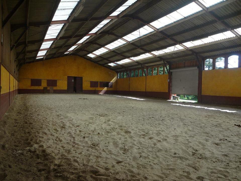 Pension Boxe / Stabulation - Région Aywaille