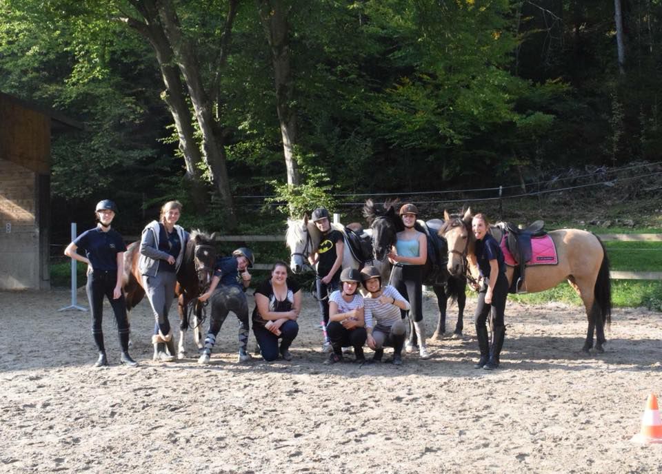 Pension Boxe / Stabulation - Région Aywaille