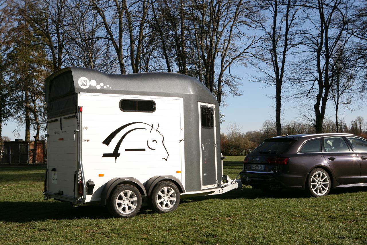 VAN CHEVAL LIBERTE GOLD 3 - NOUVEAUTE 