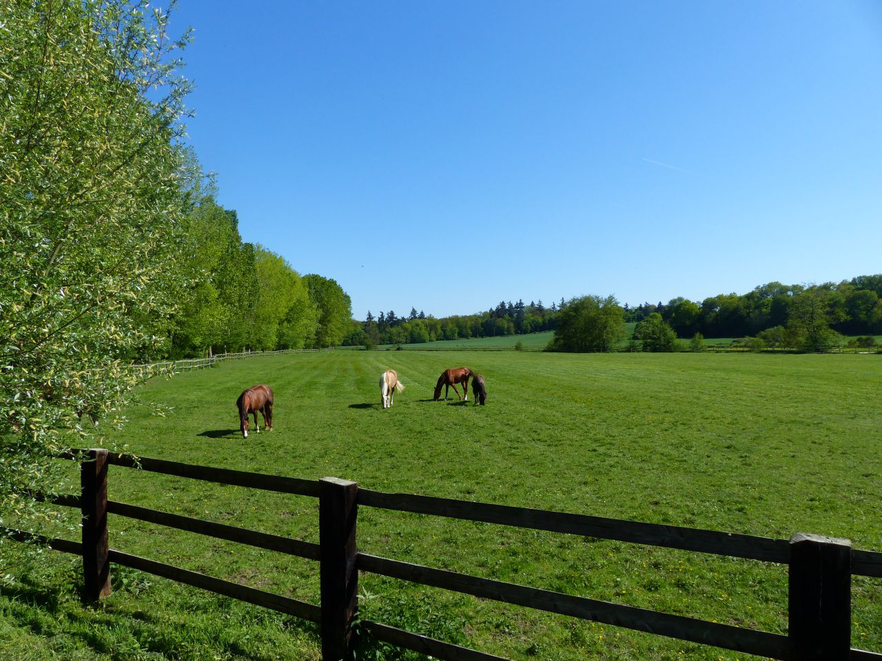 Ancien moulin et écurie de sport sur 17ha - Evreux (27)