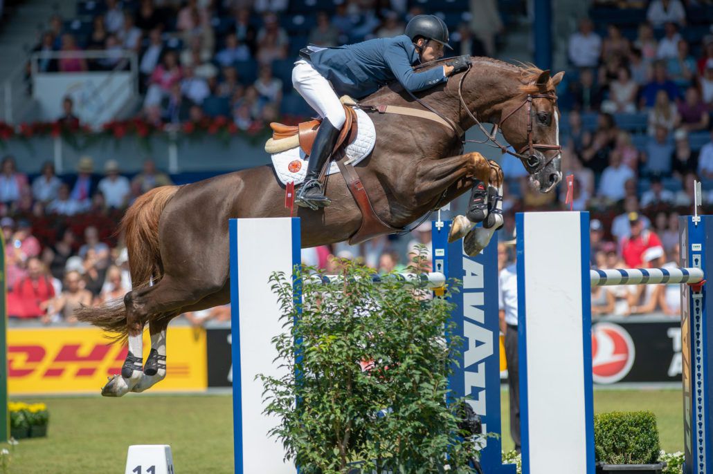 Quabri de l'Isle - SF - Alezan - 170cm