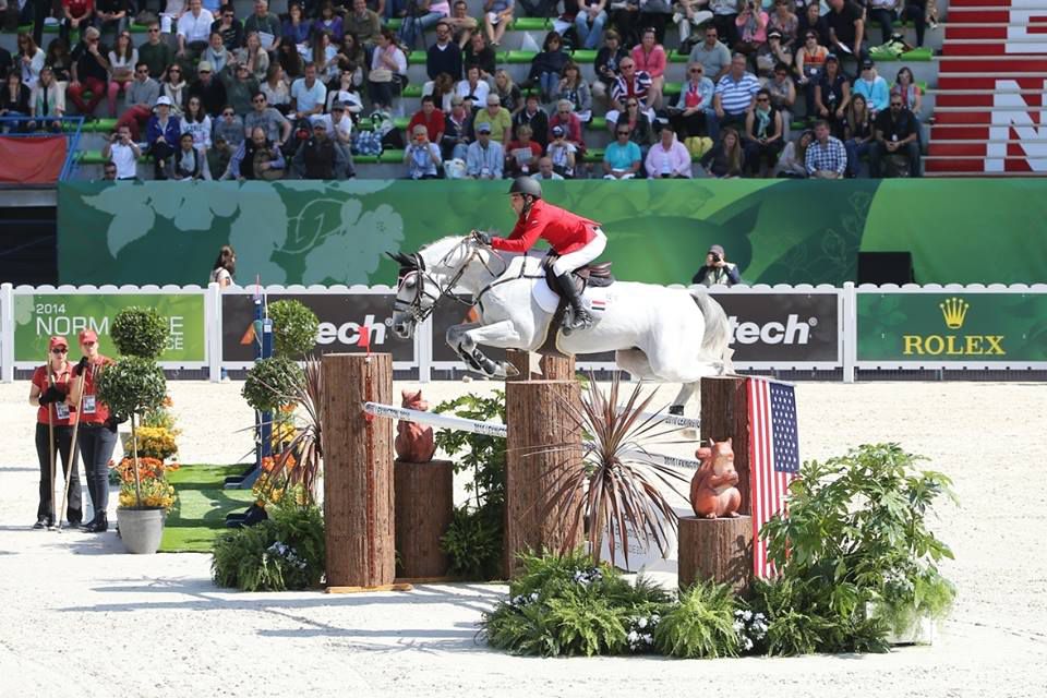 Vingino - KWPN - Gris - 172cm