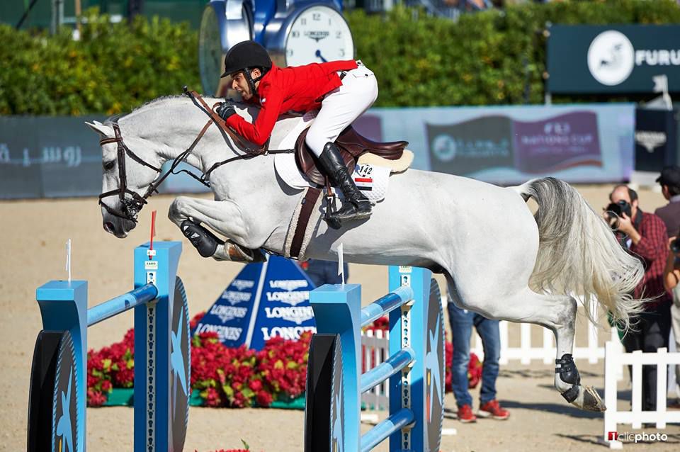 Vingino - KWPN - Gris - 172cm