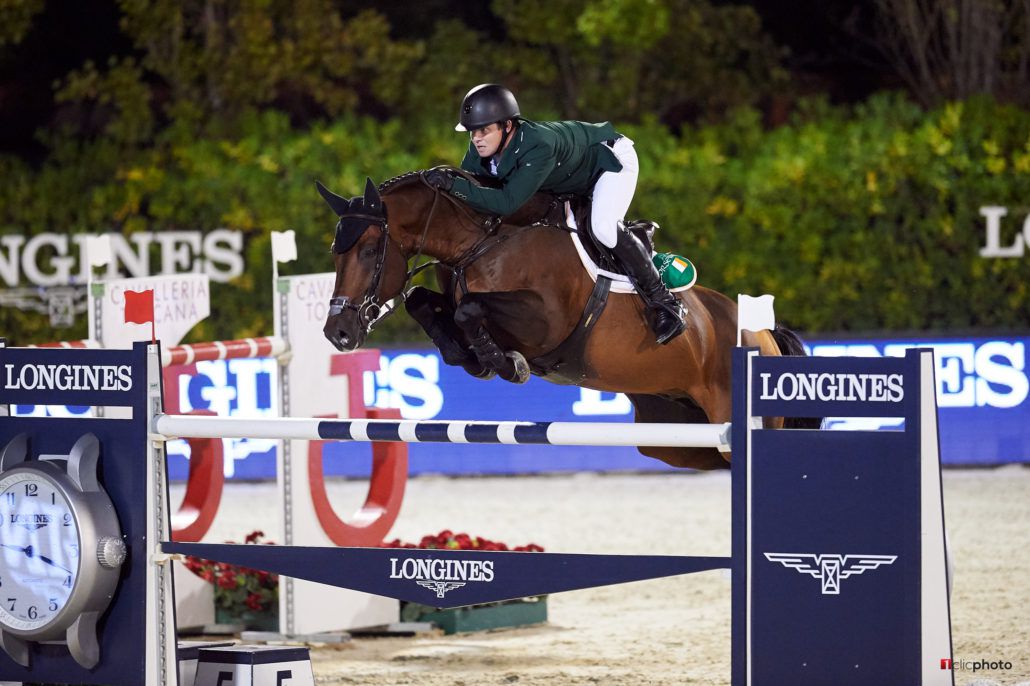 Chaqui Z - Bai - 165cm - 2006