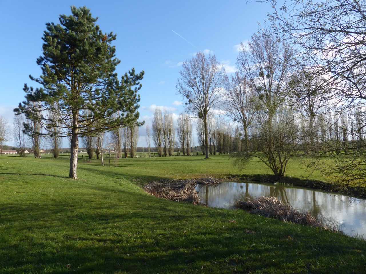 Ecuries haut de gamme avec Habitation sur 6 ha - 78