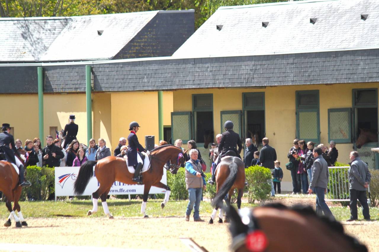 Saillies IAC Don Quichot BWP par Quite Easy & Reina Z