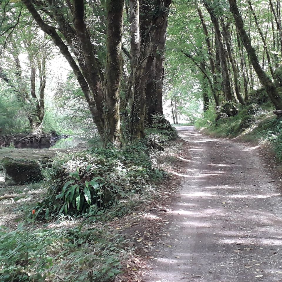 La Dordogne secr&eacute;te
