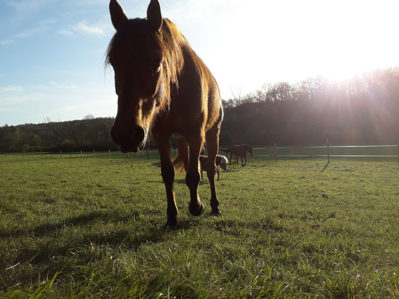La Dordogne secr&eacute;te