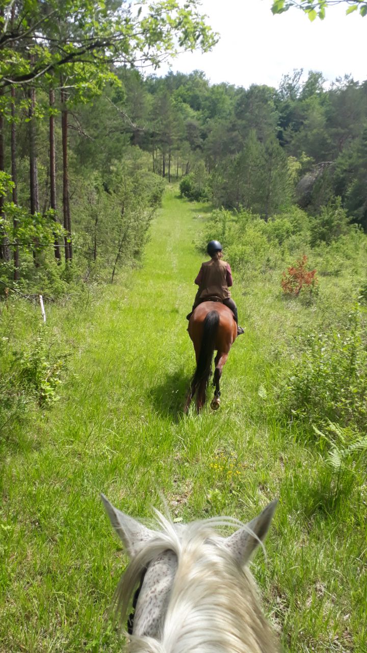La Dordogne secr&eacute;te
