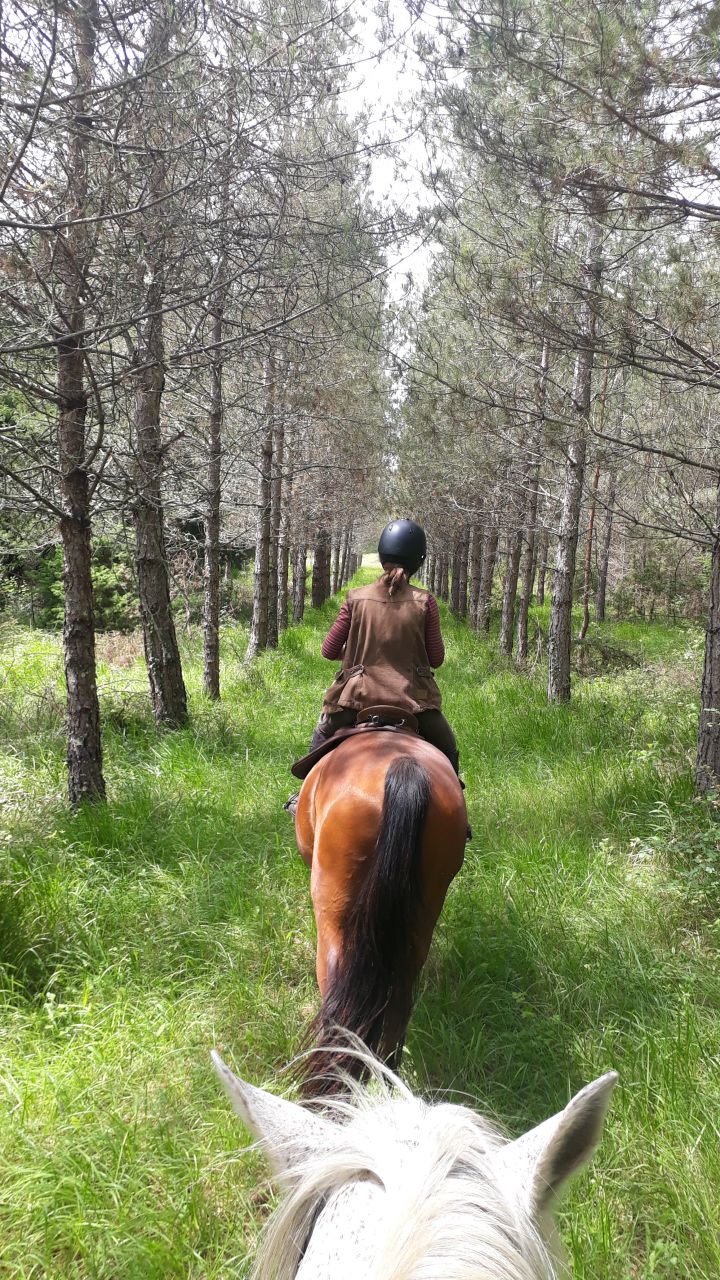 La Dordogne secr&eacute;te