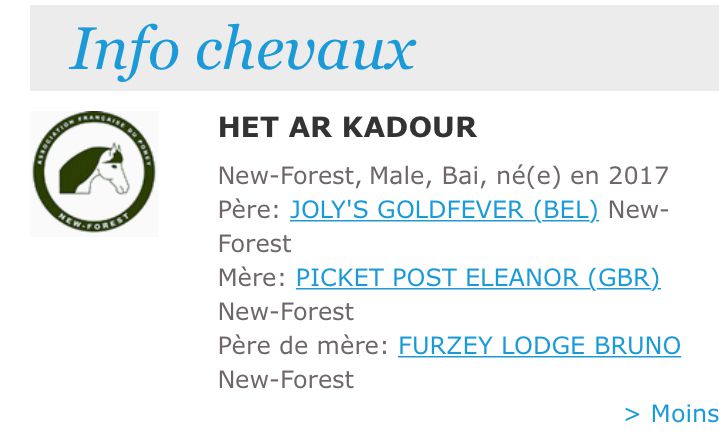 Poulinière suitée NF