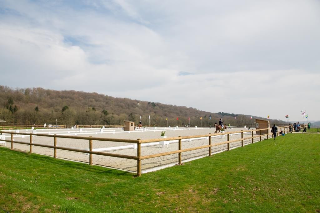 Pensions complète chevaux Namur