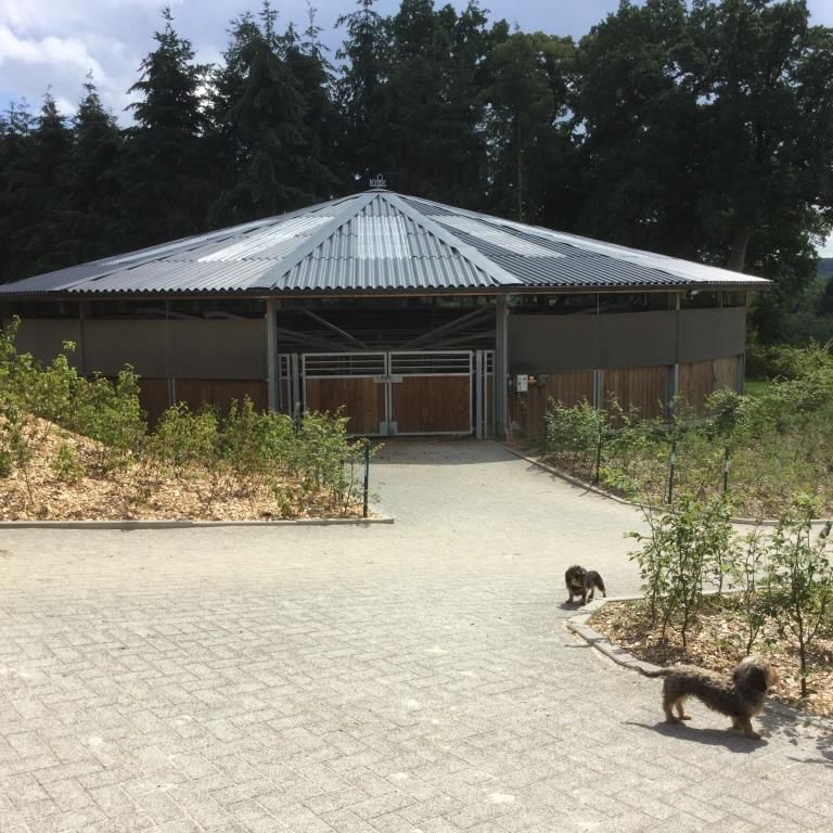 Pensions complète chevaux Namur