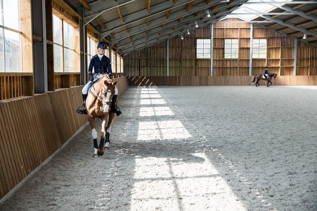 Pensions complète chevaux Namur