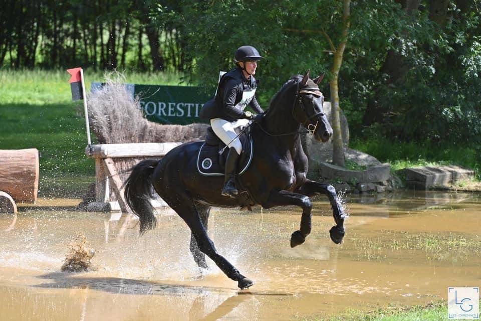 Magnifique Diamant noir SFO Champion de France 7 ans ! 