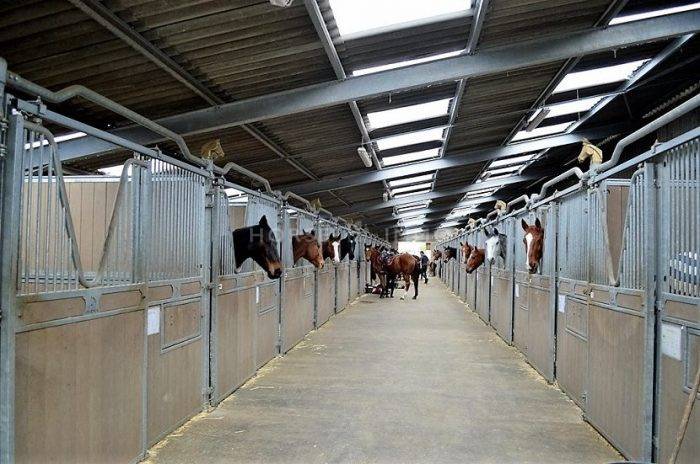 Domaine équestre et habitation aux portes d'Orléans