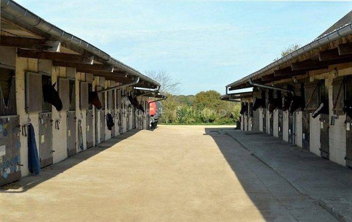 Domaine équestre et habitation aux portes d'Orléans