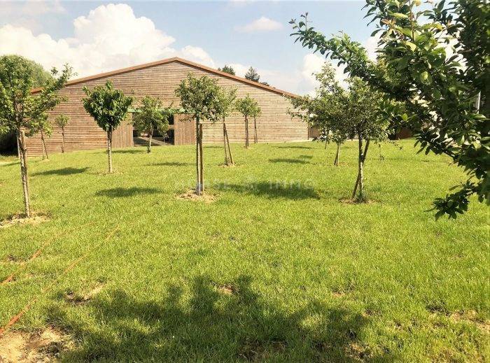 Domaine équestre haut de gamme et habitations en IDF