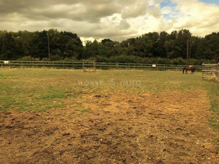 Domaine équestre haut de gamme et habitations en IDF
