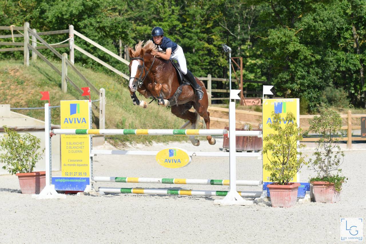 Saillies IAC Etalon approuvé Selle Francais crin lavés 