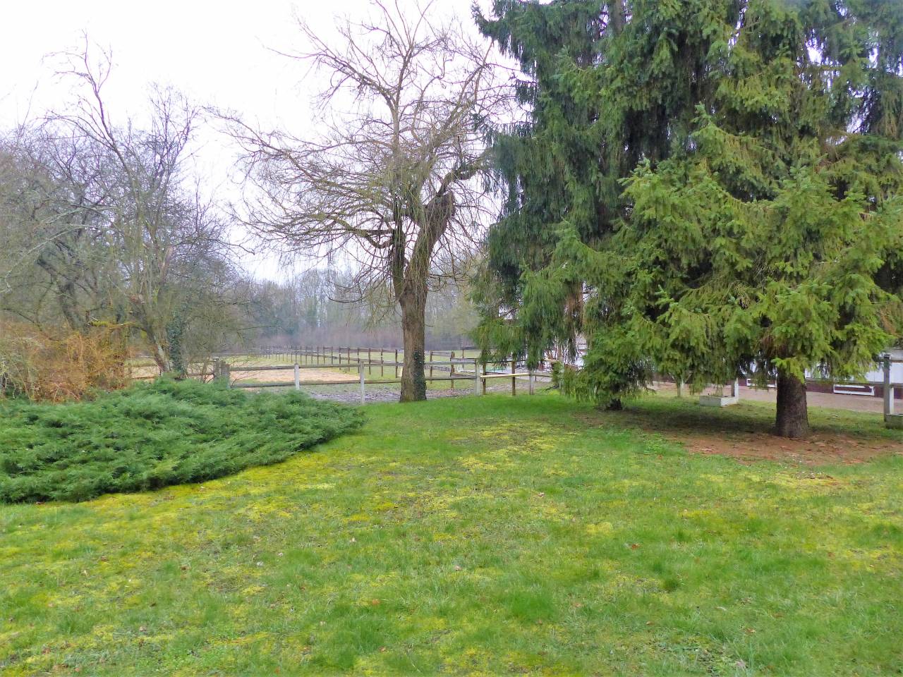 Propriété équestre ou centre équestre - Mantes 