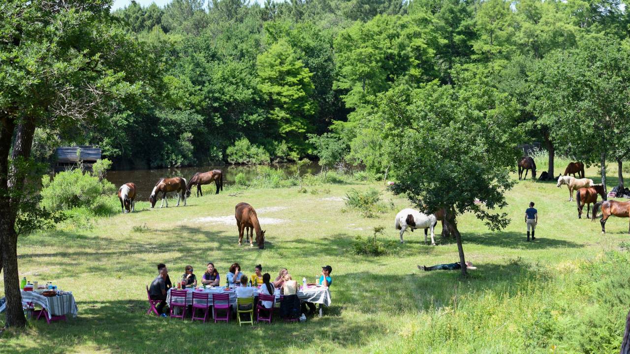 Séjour individuel, Famille à la carte  Equitation  Yoga
