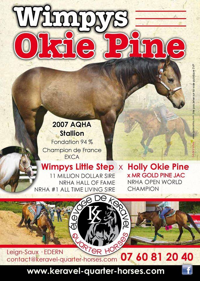 Etalon Quarter Horse Fondation Wimpys Little Step !