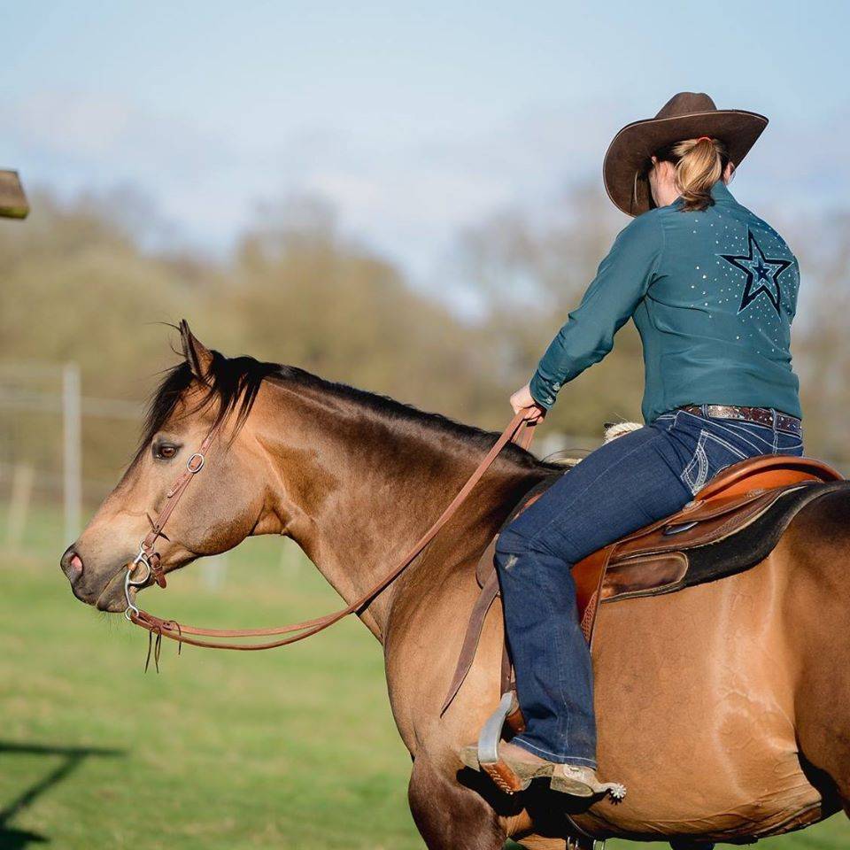 Etalon Quarter Horse Fondation Wimpys Little Step !