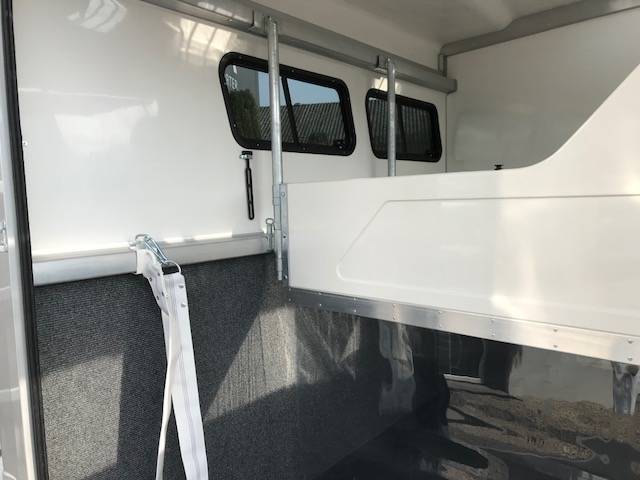 REMORQUE STEINSBERGER 3 CHEVAUX & HOME CAR