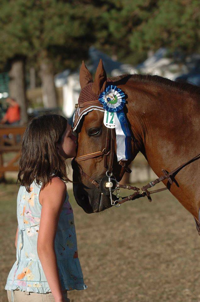 SAILLIE D'UN ETALON, PERFORMER INTERNATIONAL 