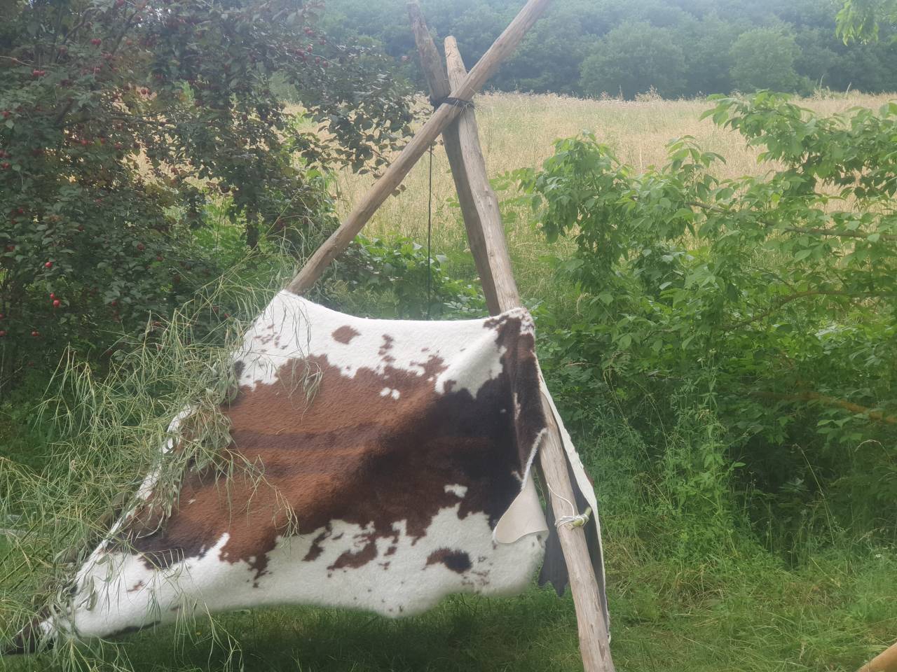 hébergement dans un tipi avec votre cheval