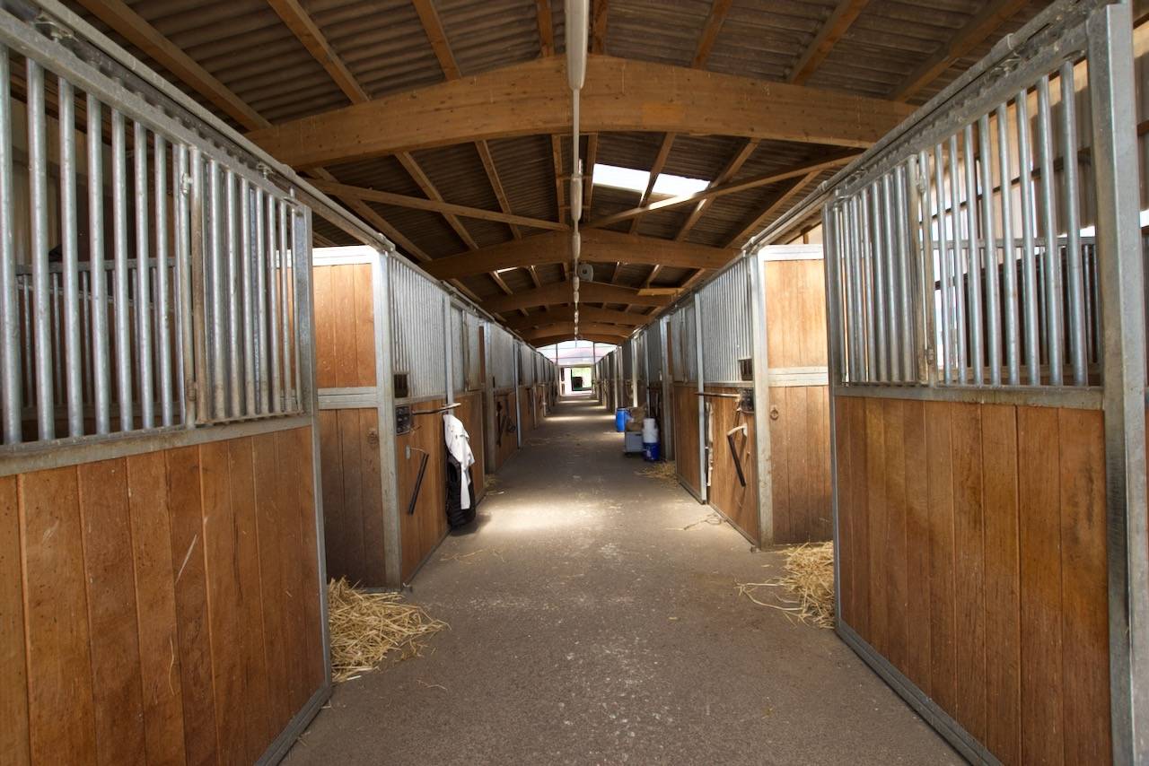Centre équestre réputé  de 110 boxes en activité