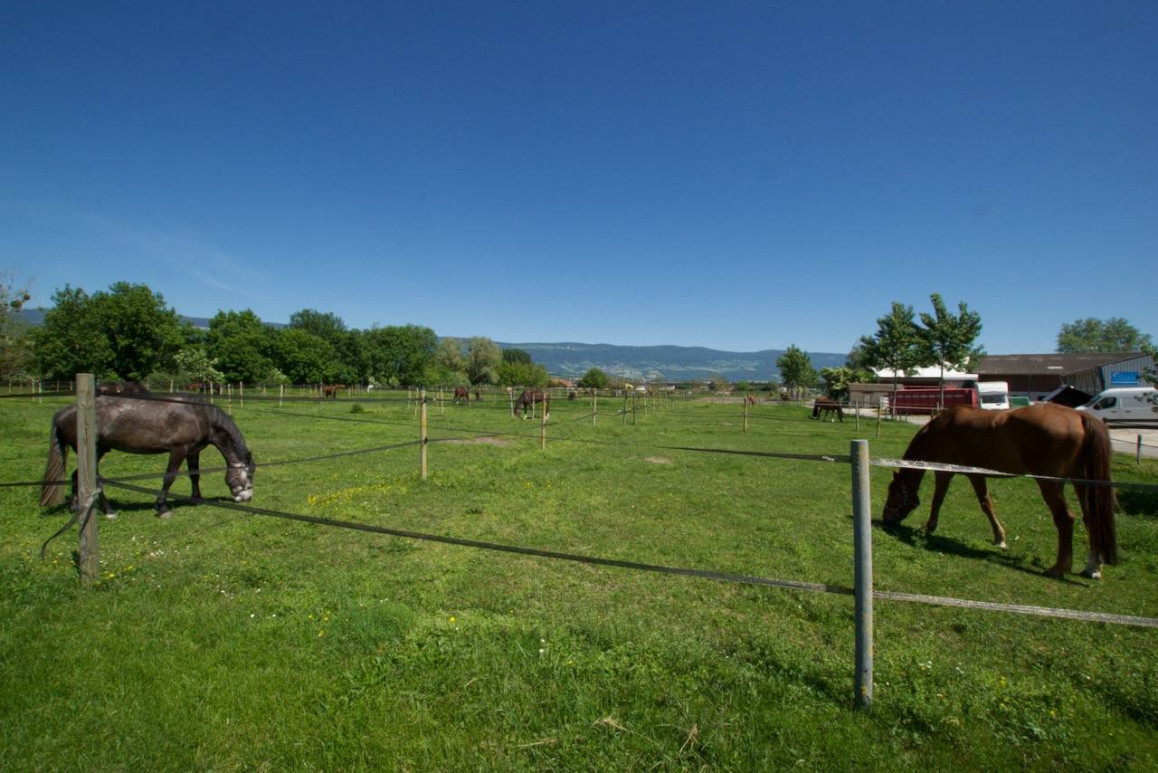 Centre équestre réputé  de 110 boxes en activité