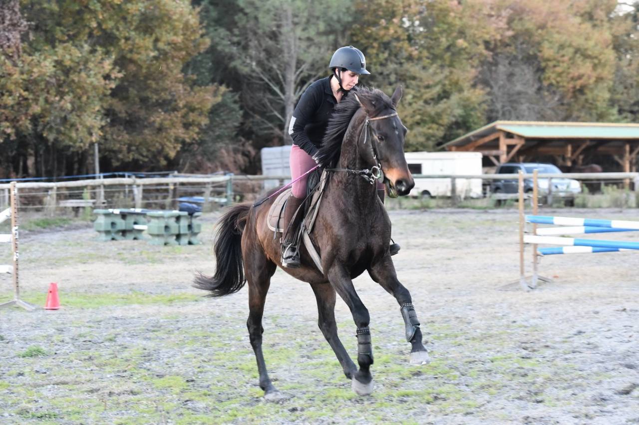Stage Ado Cso et Cross -  Cote Atlantique - Landes