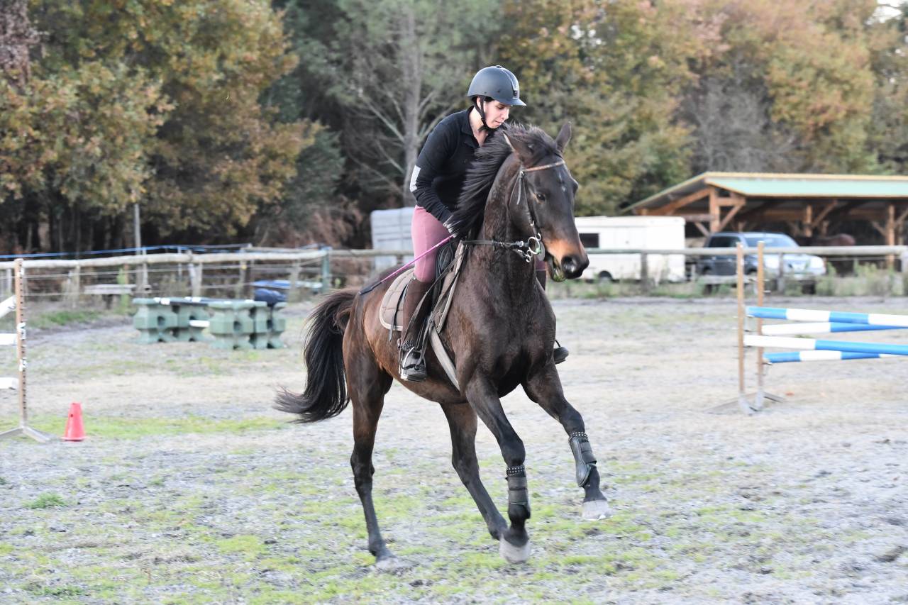 Stage DERBY adult perfectionnement CSO et CROSS