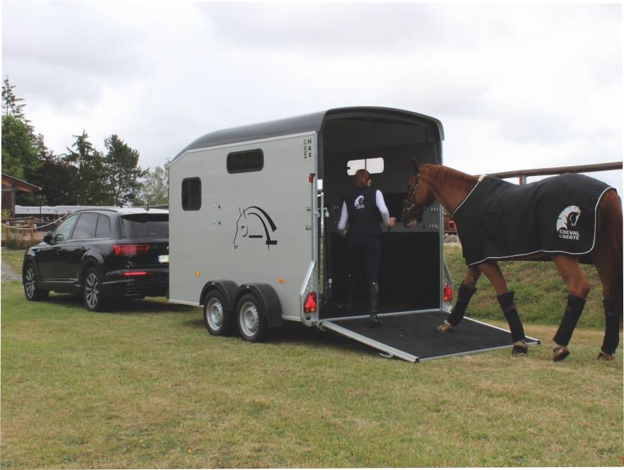VAN MULTIMAX CHEVAL LIBERTE 2 PLACES