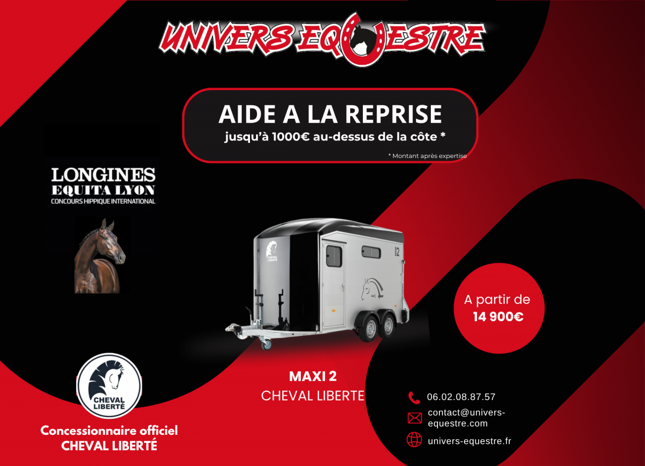 VAN MAXI 2 CHEVAL LIBERTE 2 PLACES DIAGONAL