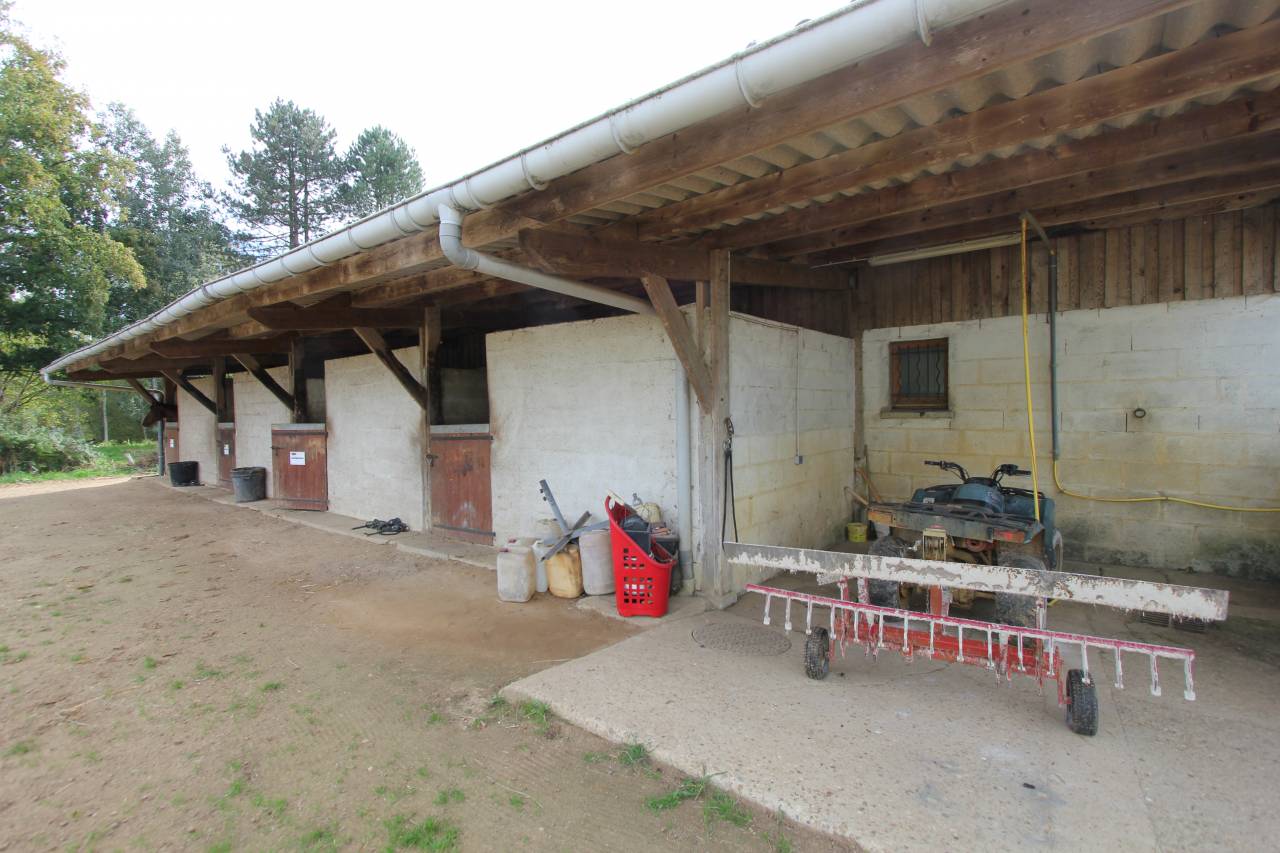 Ecurie de propriétaires et de sport sur 4 ha 