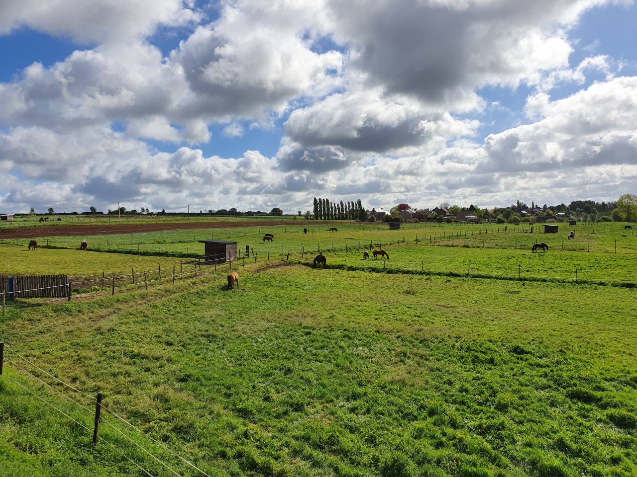 Pensions retraites, complètes et prairies.