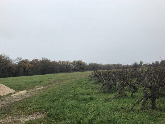 Joli Manoir du XIIe siècle sur 39 ha