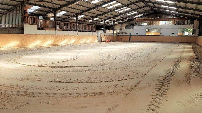 Centre équestre / Poney-club / Écurie de propriétaires en act