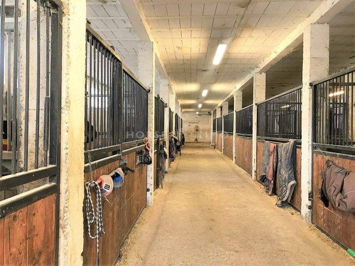 Centre équestre / Poney-club / Écurie de propriétaires en act