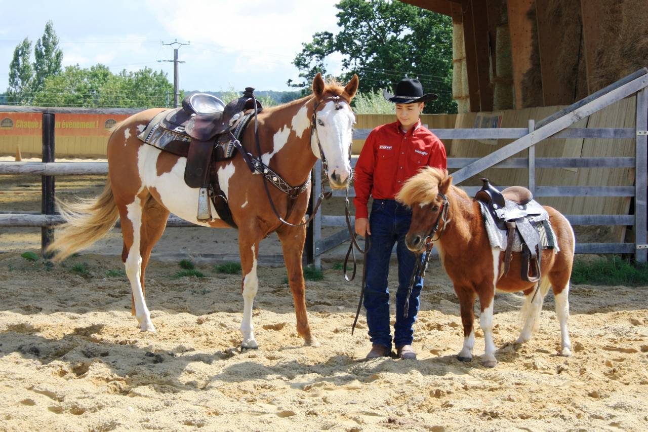 DOUBLE T FARM : centre &eacute;questre western et pensions 