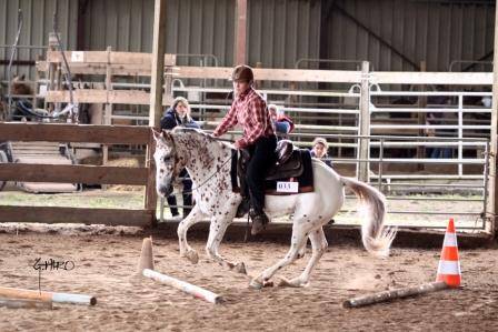 DOUBLE T FARM : centre &eacute;questre western et pensions 